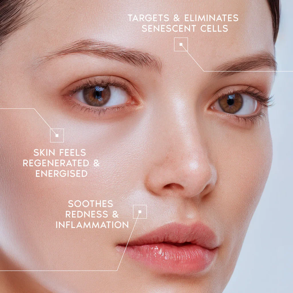 ELEVARE PDRN Active Renew Cream – NEW YEAR OFFER - Image 6